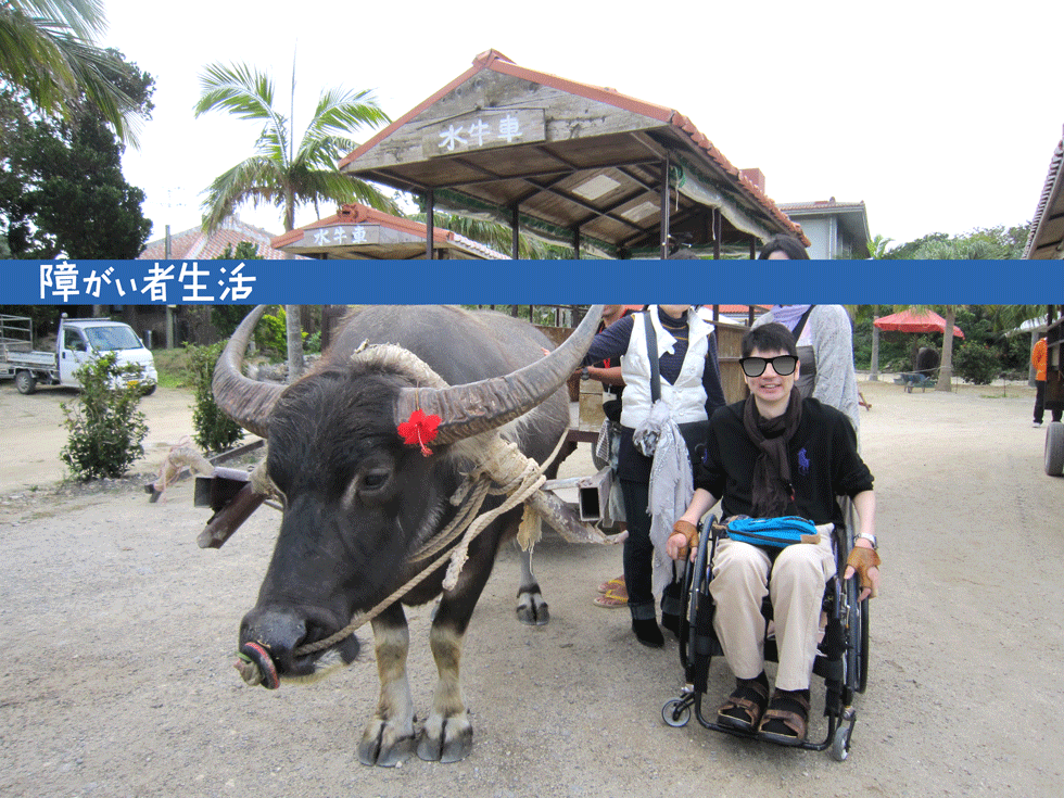 【車いすの旅】沖縄県八重山群の竹富島に行こう！水牛車7