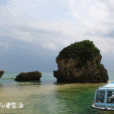 【【車いすの旅】沖縄県新原ビーチに行こう！【グラスボート観光】01
