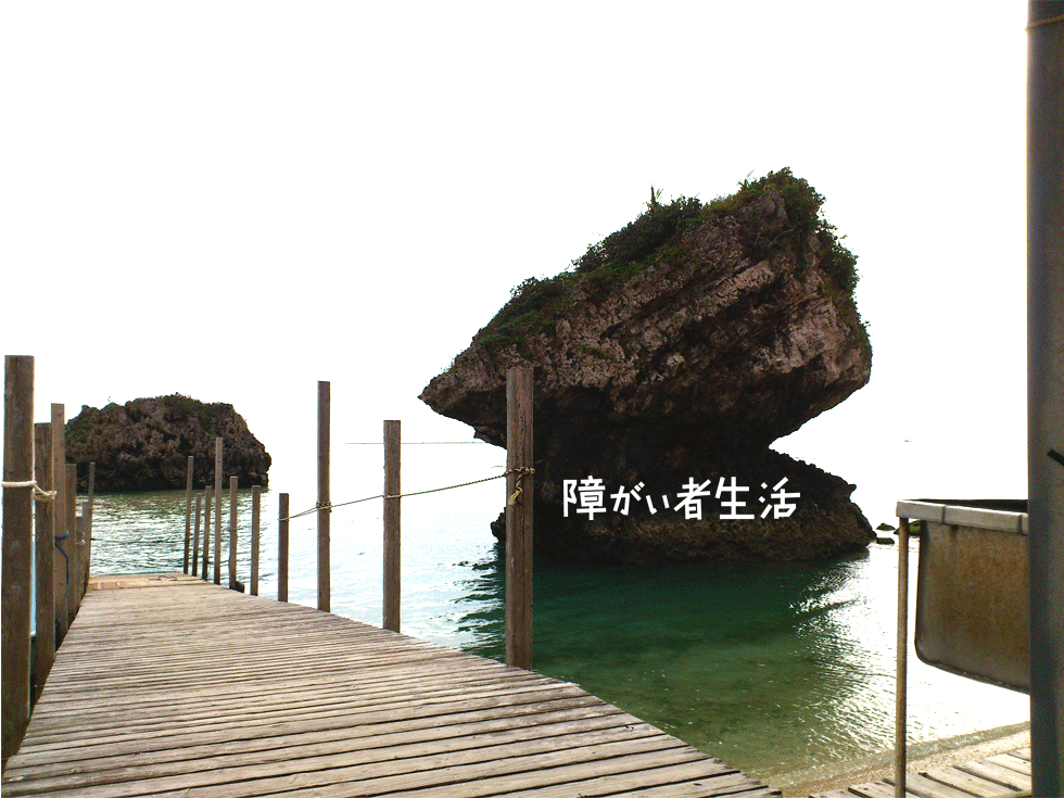 【車いすの旅】沖縄県新原ビーチに行こう！【グラスボート観光】新原ビーチ4